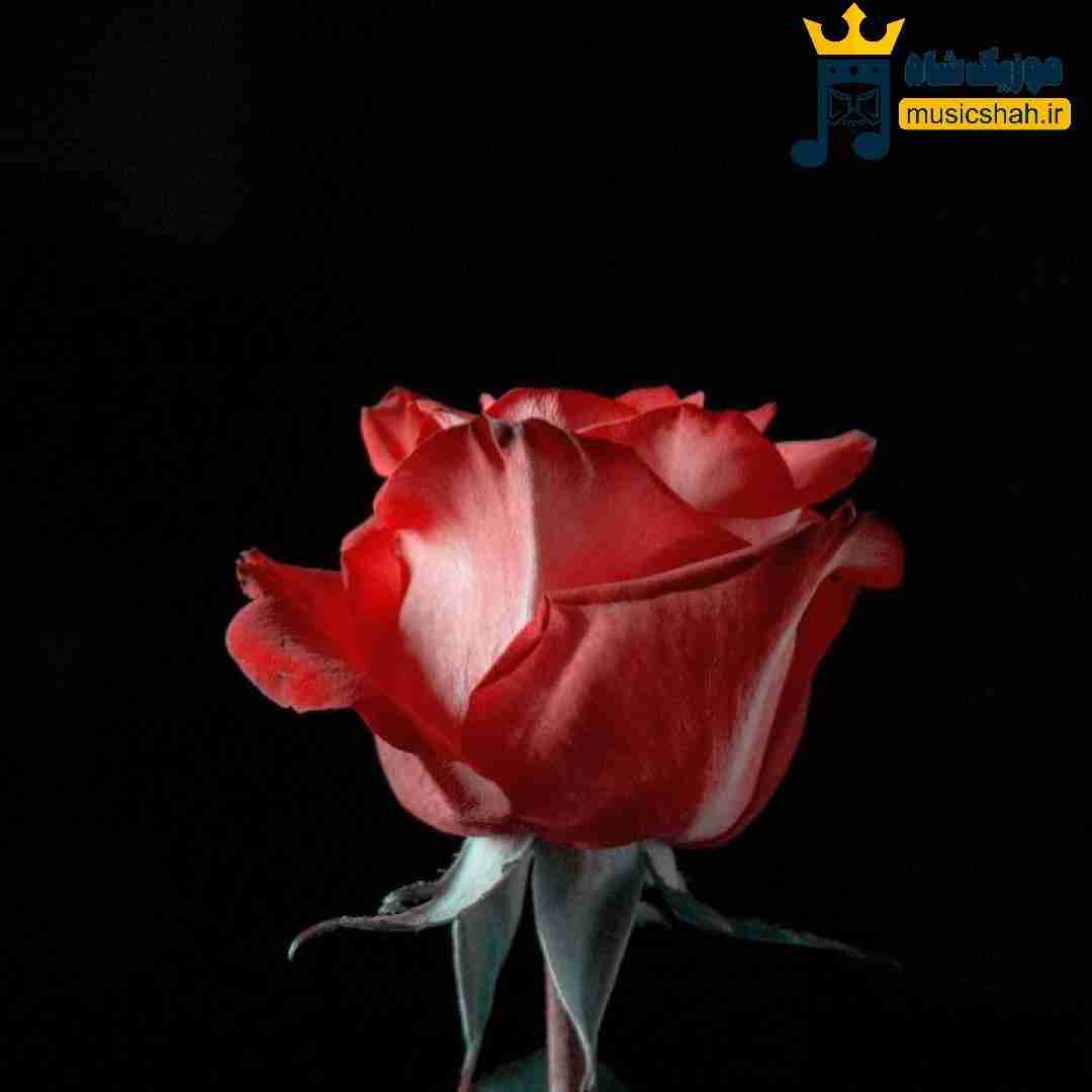  منکه دستاتو ول نمیکنم تو باد و برف و بارون