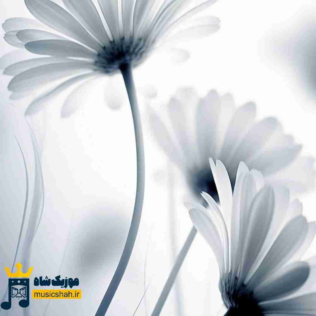 نفس دادی به این سینه دودیم از حق نگذریم