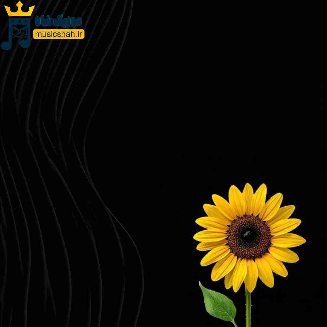  ای دلبر ای دلبر له دل من تویی