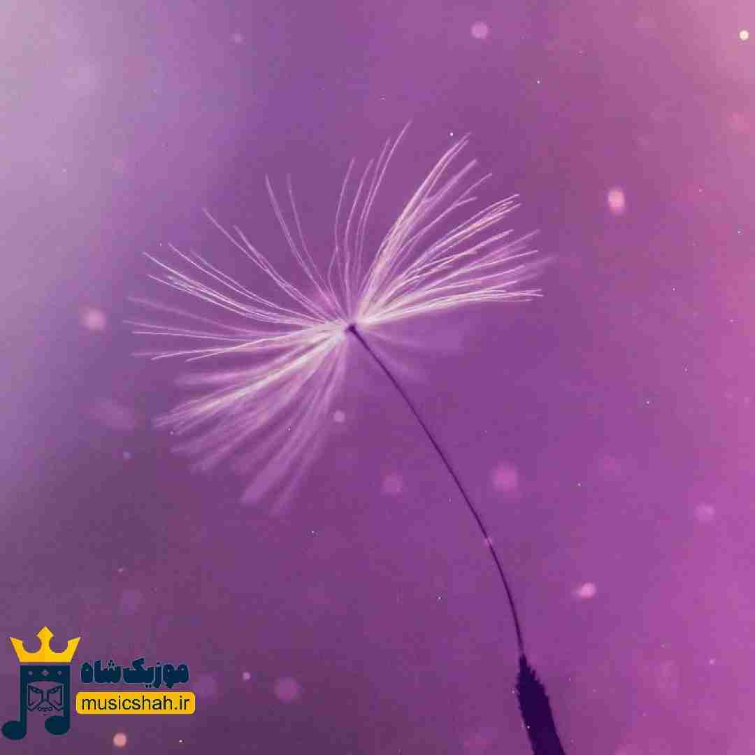 سفیدی مثل شکوفه موهات میره تو چشام