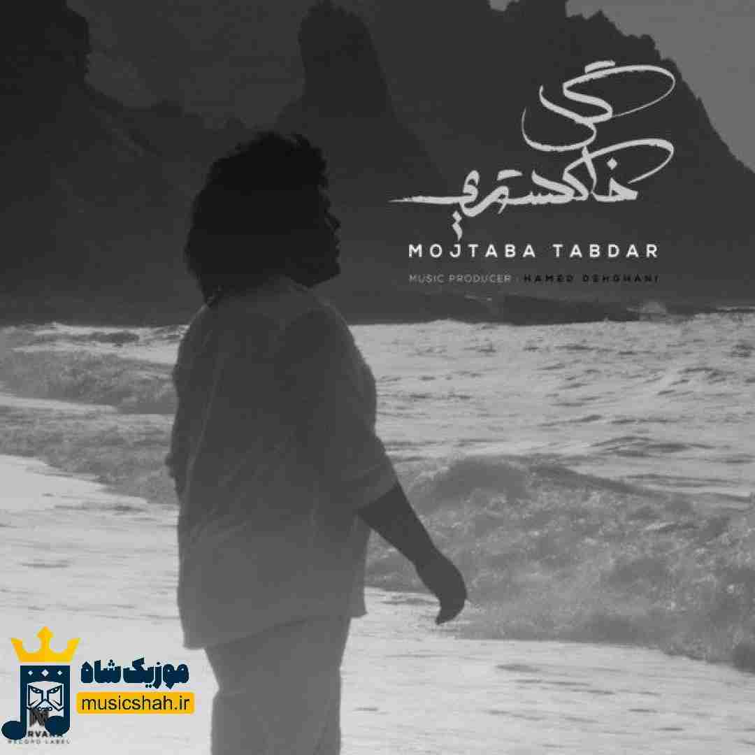 مجتبی تابدار گل خاکستری
