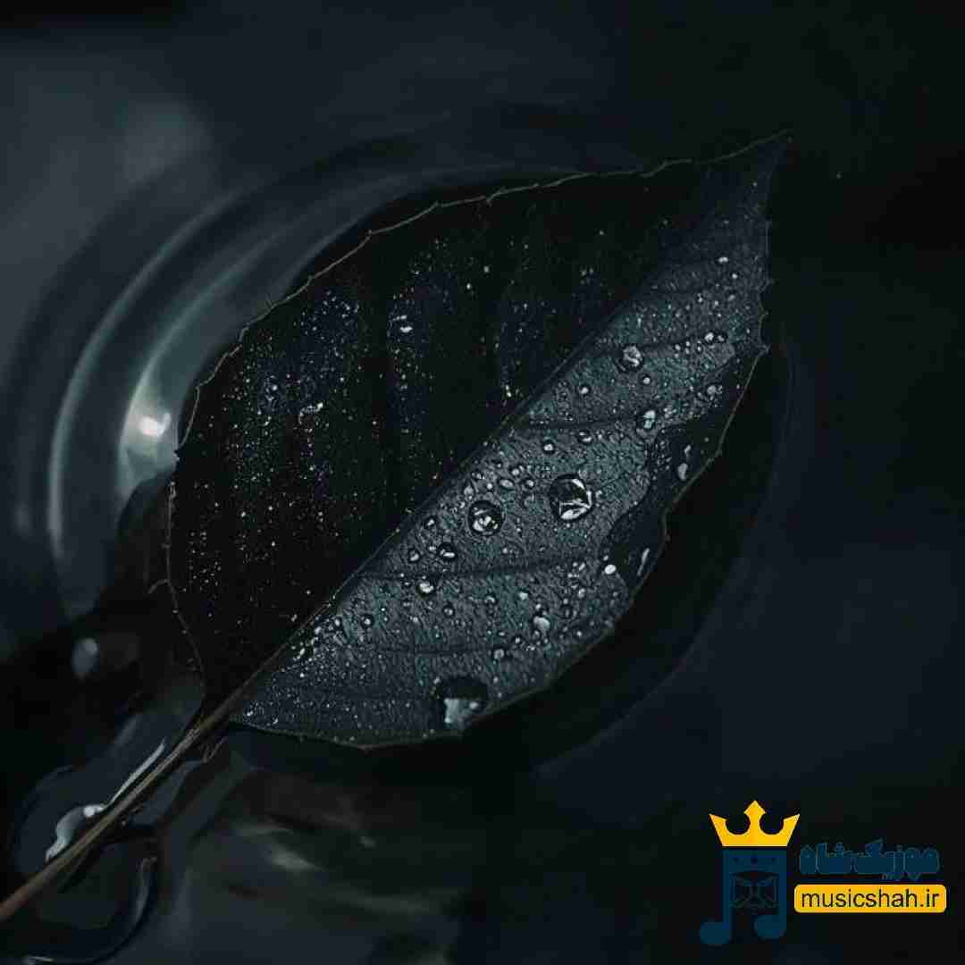 آمارت در رفته یه جور بد شیطونی میکنی بدون من