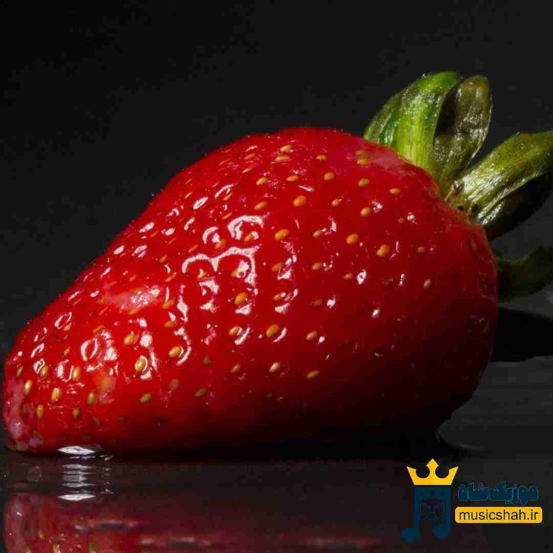  هیشکی باهام خوب نیس مامان سگ دو میزنم