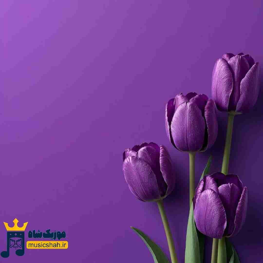  ریه هام میسوزن بعد سیگار دلم تنگه واس بچگیام