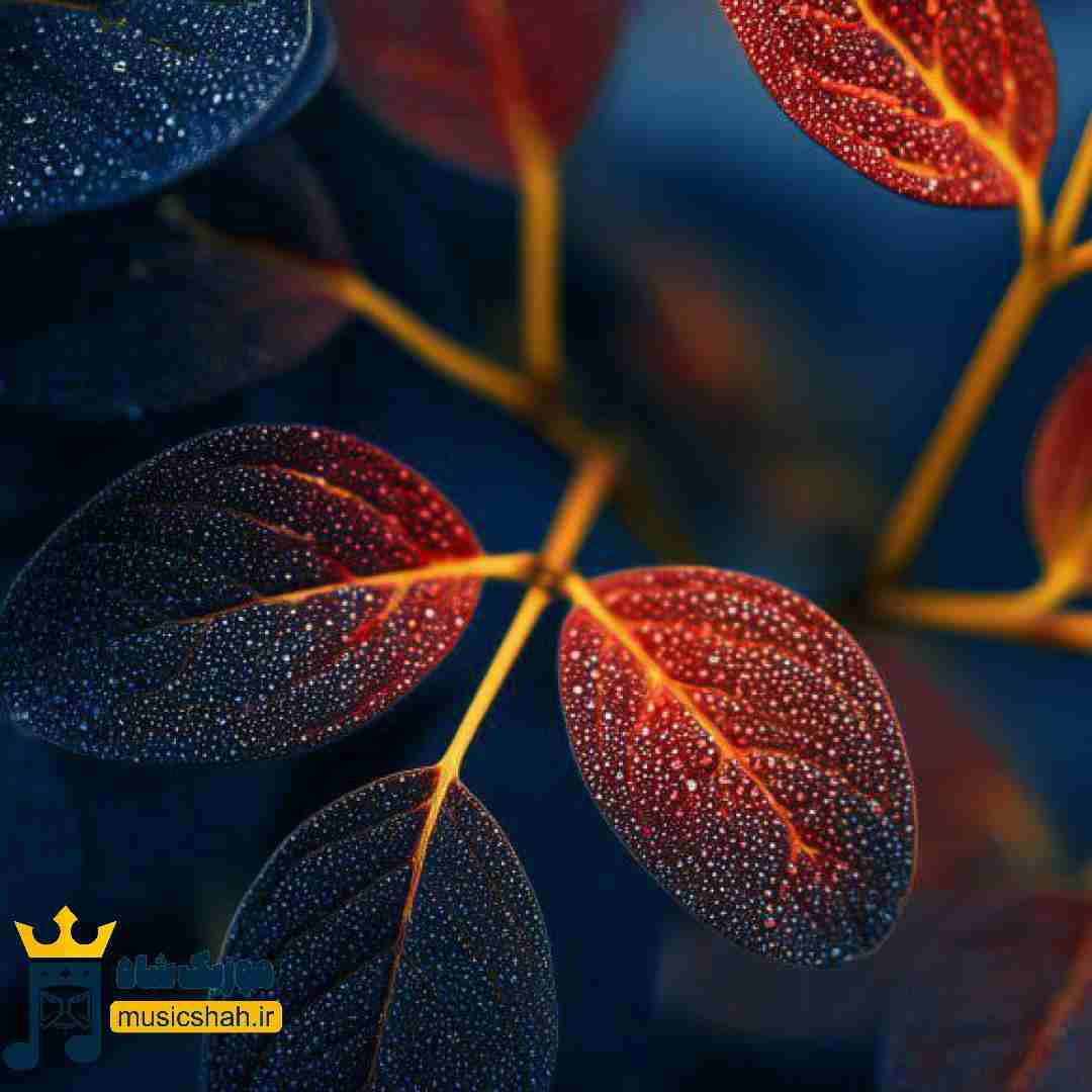  شاه داف تهرون جونم کجایی تو شیطون خونم