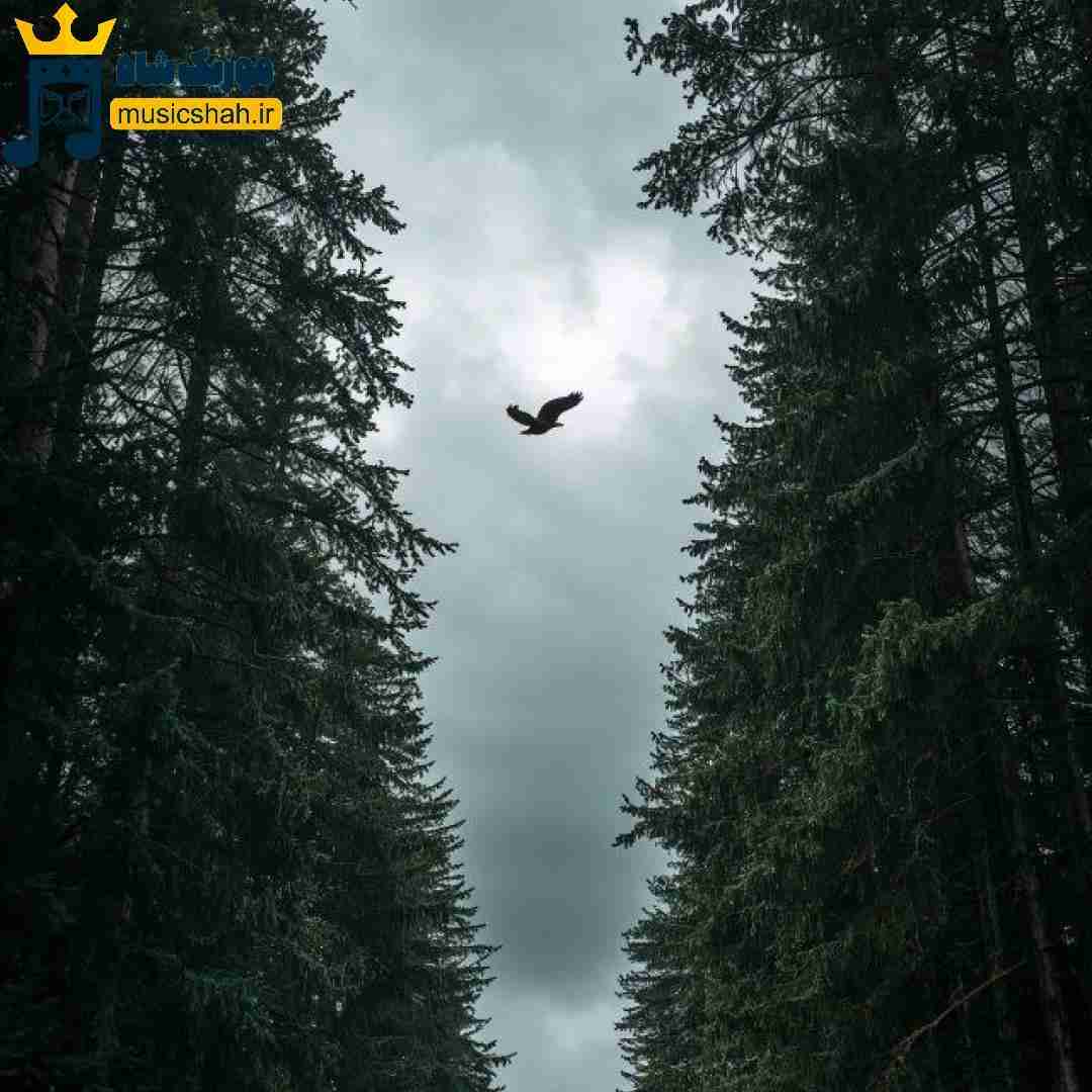 برات میخونم با اینکه بهم لاو نمیاد منو هیچوقت