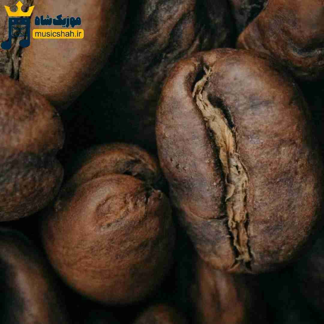  دوباره پیداش میشه در خونه رو باز نکن