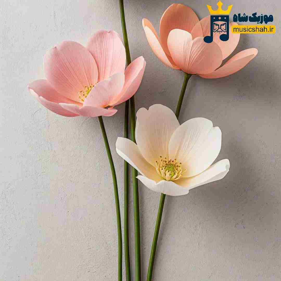 هیچ هیجانی ارزش اشک مادرو نداره ممنونشم