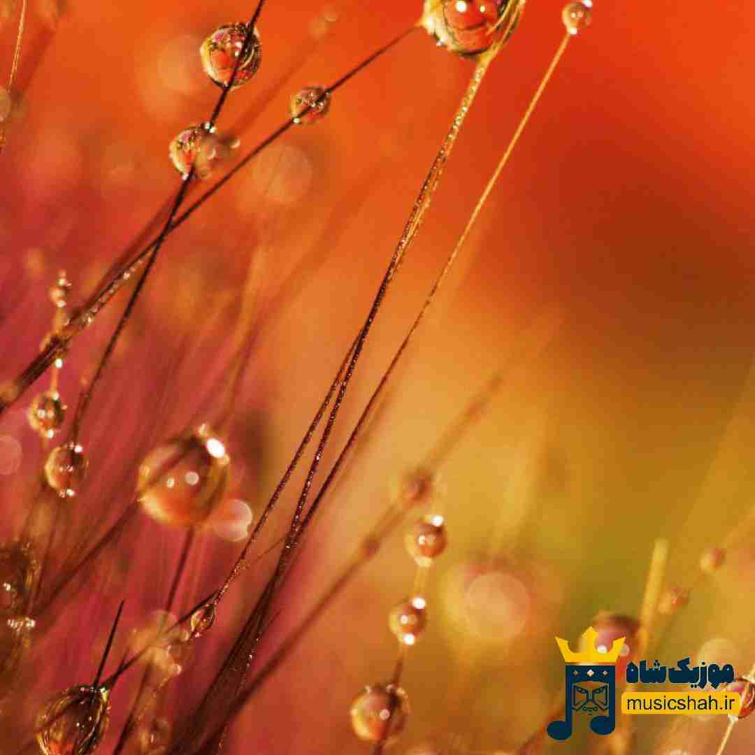 دانلود آهنگ با اون کپ بودی با من بودی کپیتال