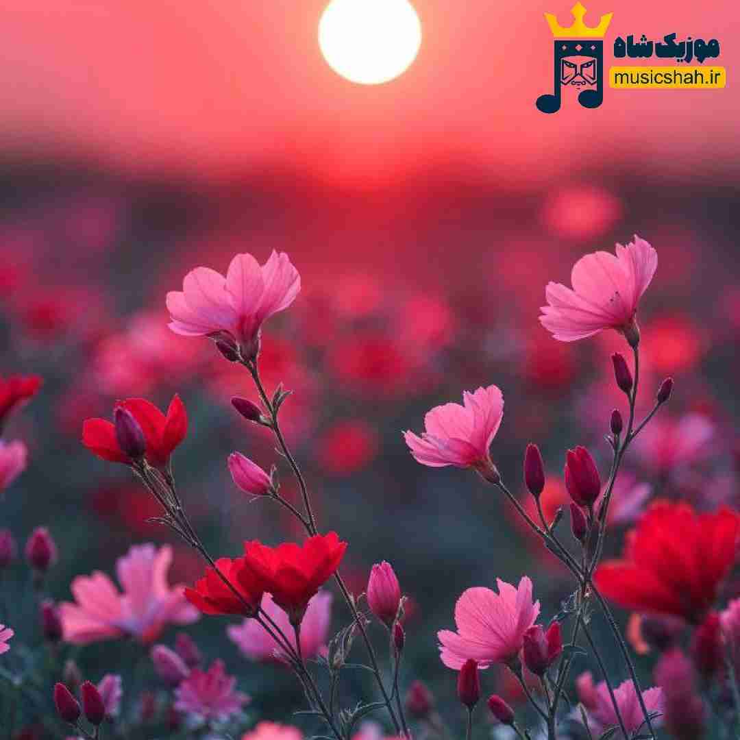  میباره بارون تو نیستی بغلم نمیتونم جاده رو برم