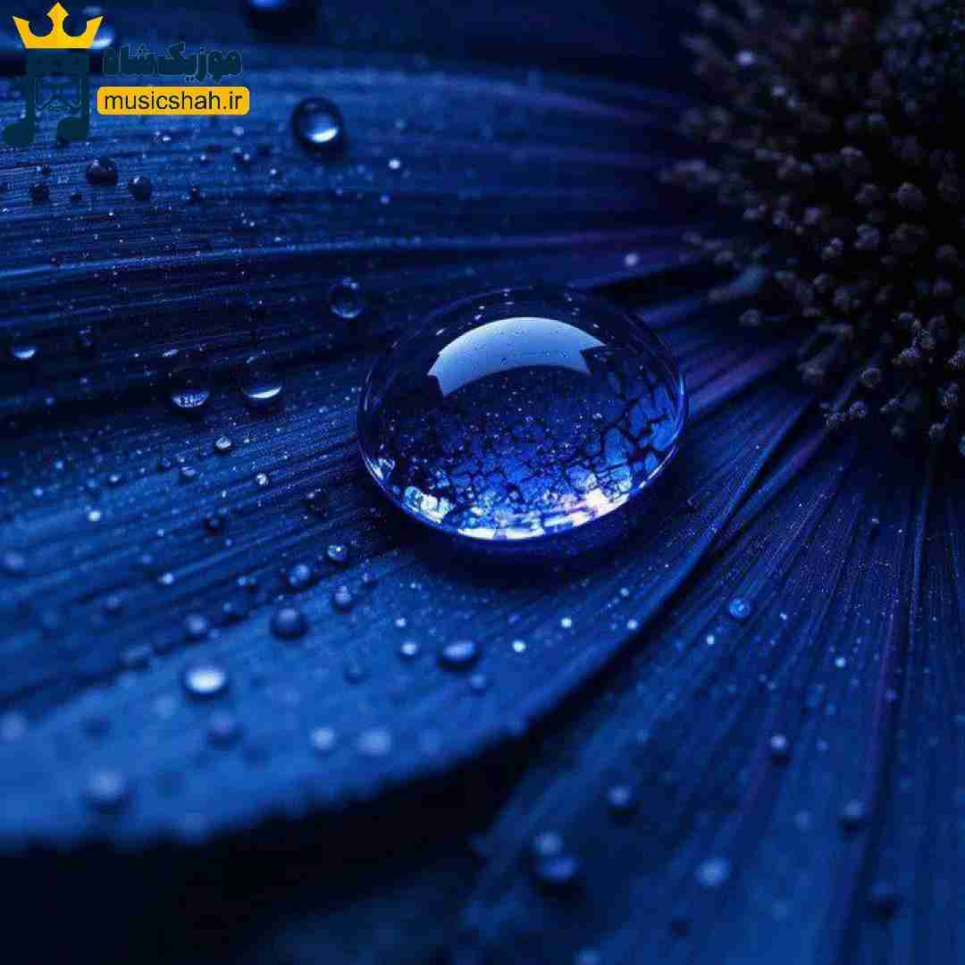 همش زمستونه دیگه برام نموند بهاری اگه من برم