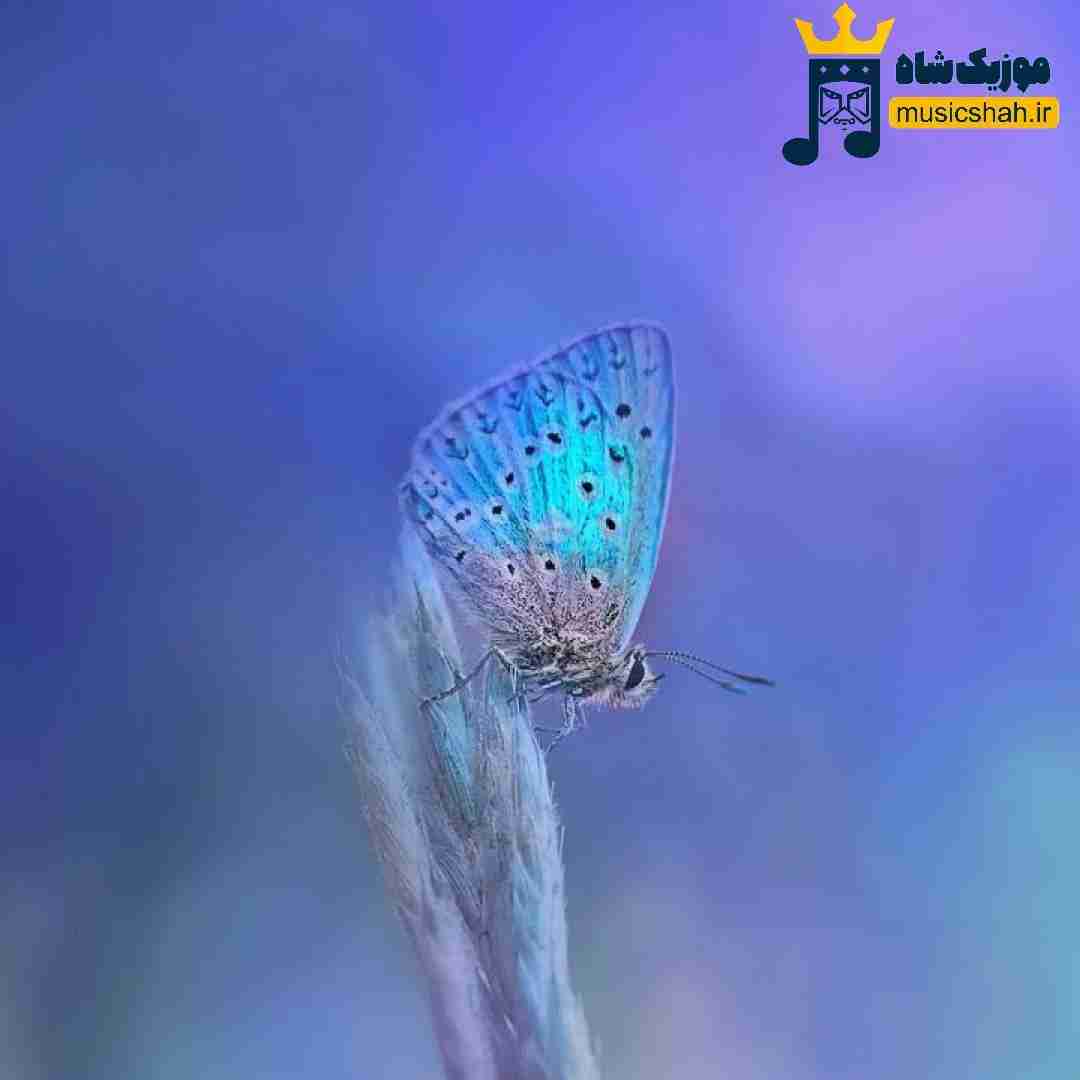 با اینکه تو گفتی بدمم کلی نسخم باز بیای