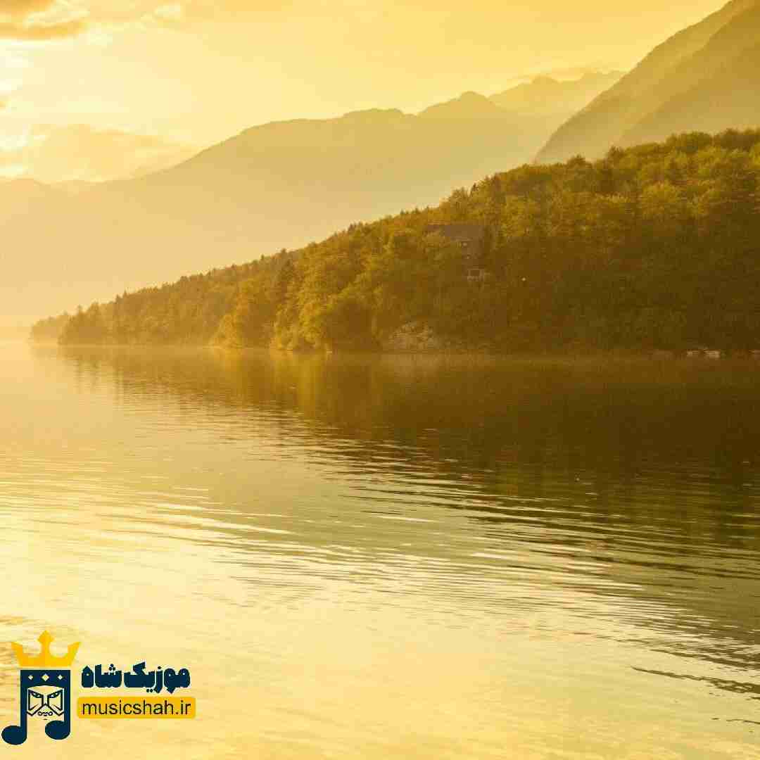 توی علاف موی الف پر الفبای مولف