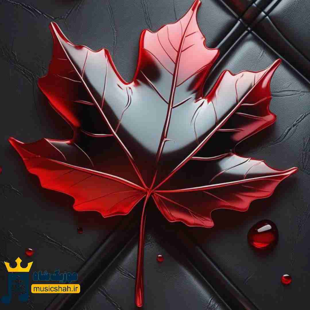 از بس گریه کردم دیگه تو چشام اشک نی
