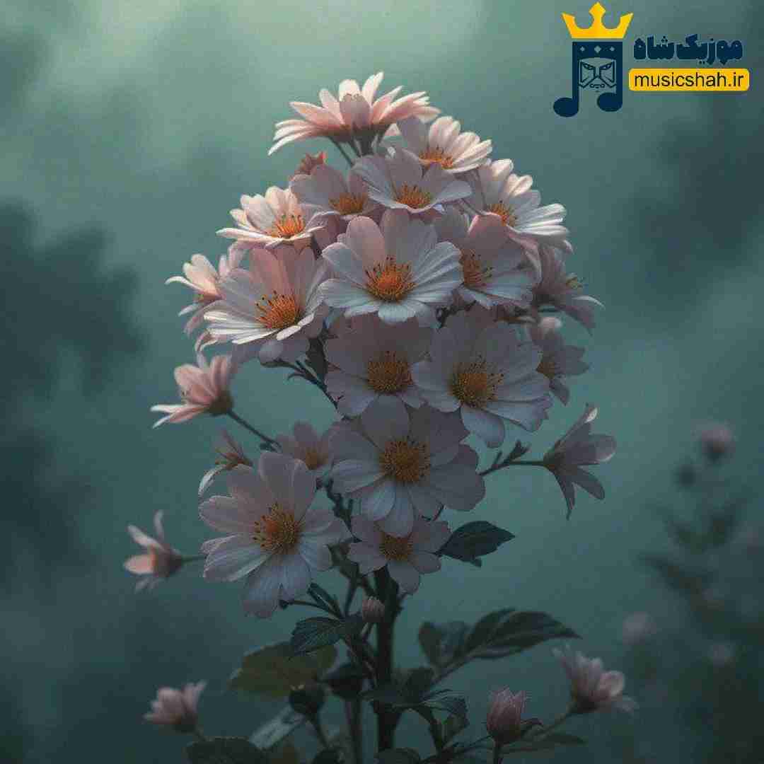اصلا بگین یکی بیاد دو بزنه ویولن یکی بهم برسونه