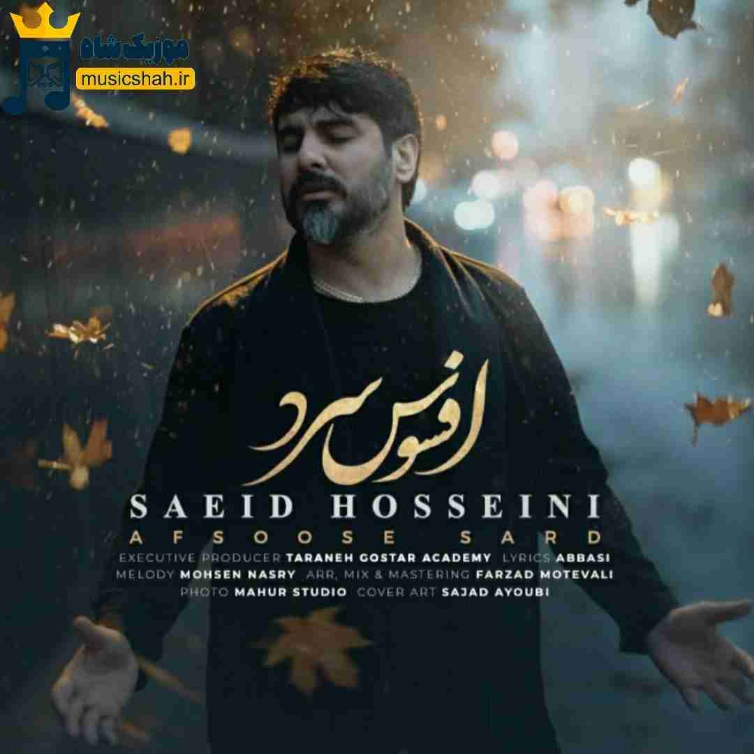 سعید حسینی افسوس سرد
