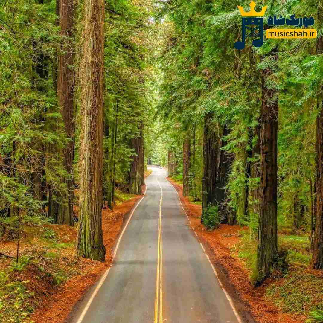  فردا هوا دیگه سرد نی چیزی نمونده ازم برگردی