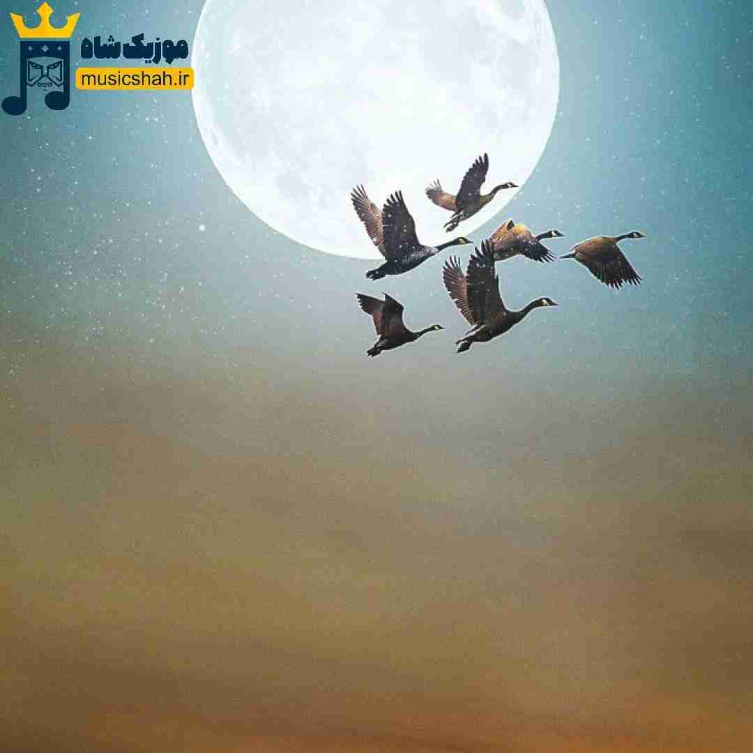 من حالم بد میشه اگه نباشم پیشت چه راحت رفتی