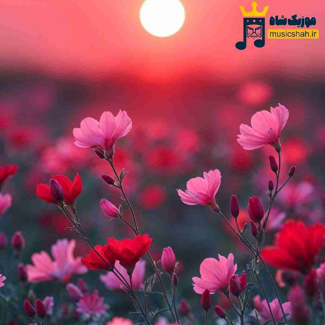  بی تو چی بکم له‌و دلی پرم که تو خود روحی