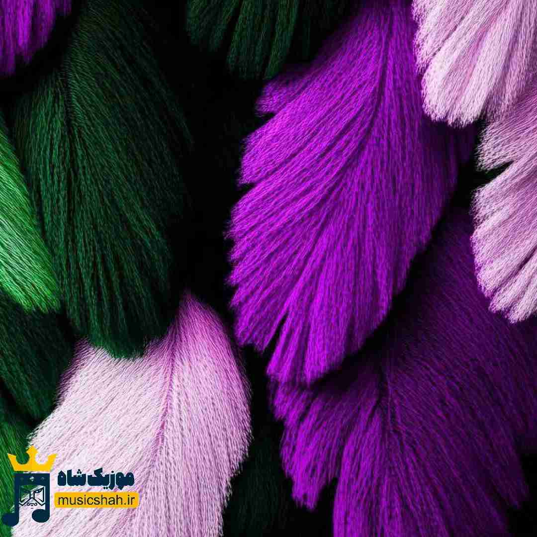 د کم آوردمه خدا زی تری بورم کمرم بورسه د