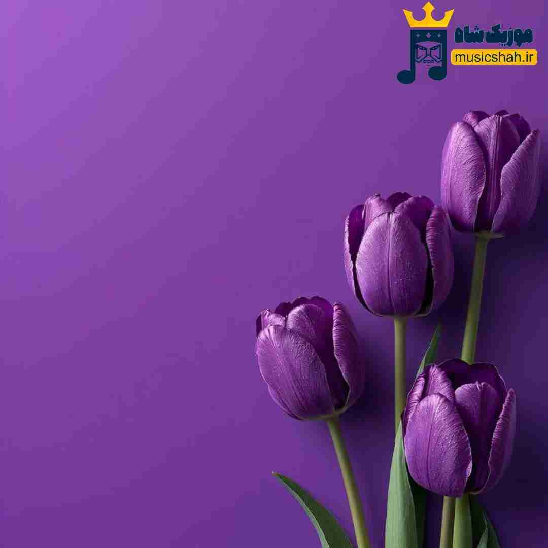 ستایش صادق زاده ای خدا برس به دادمان
