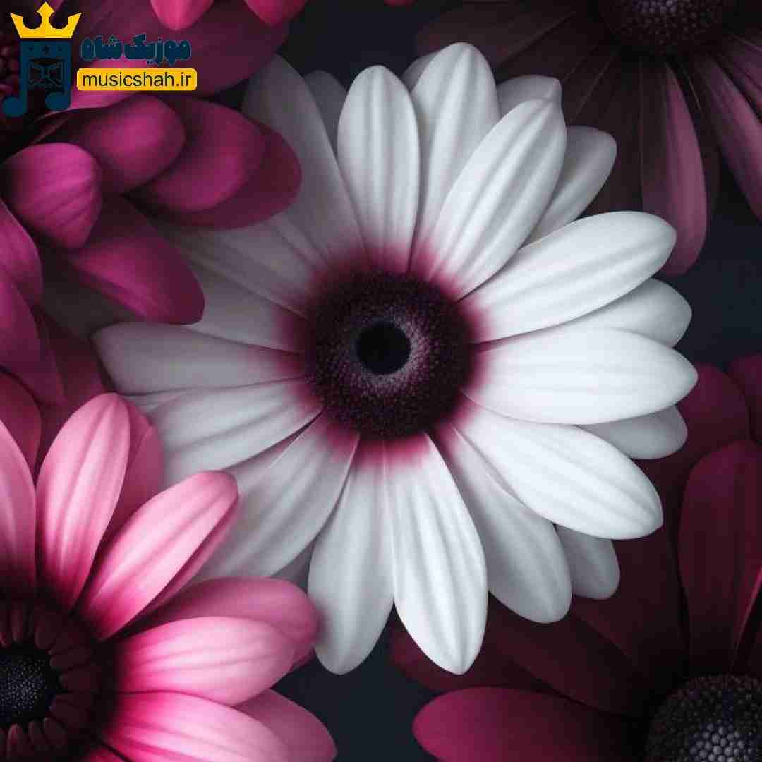 فرشته تحویلم گرفتی الان ابلیس شدم