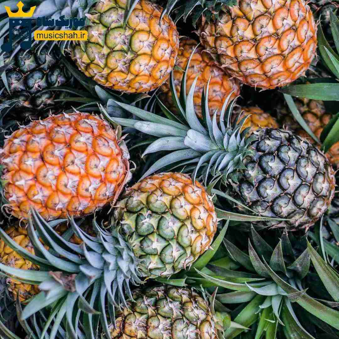 سنا برزنجه خهیالهکهم چووو