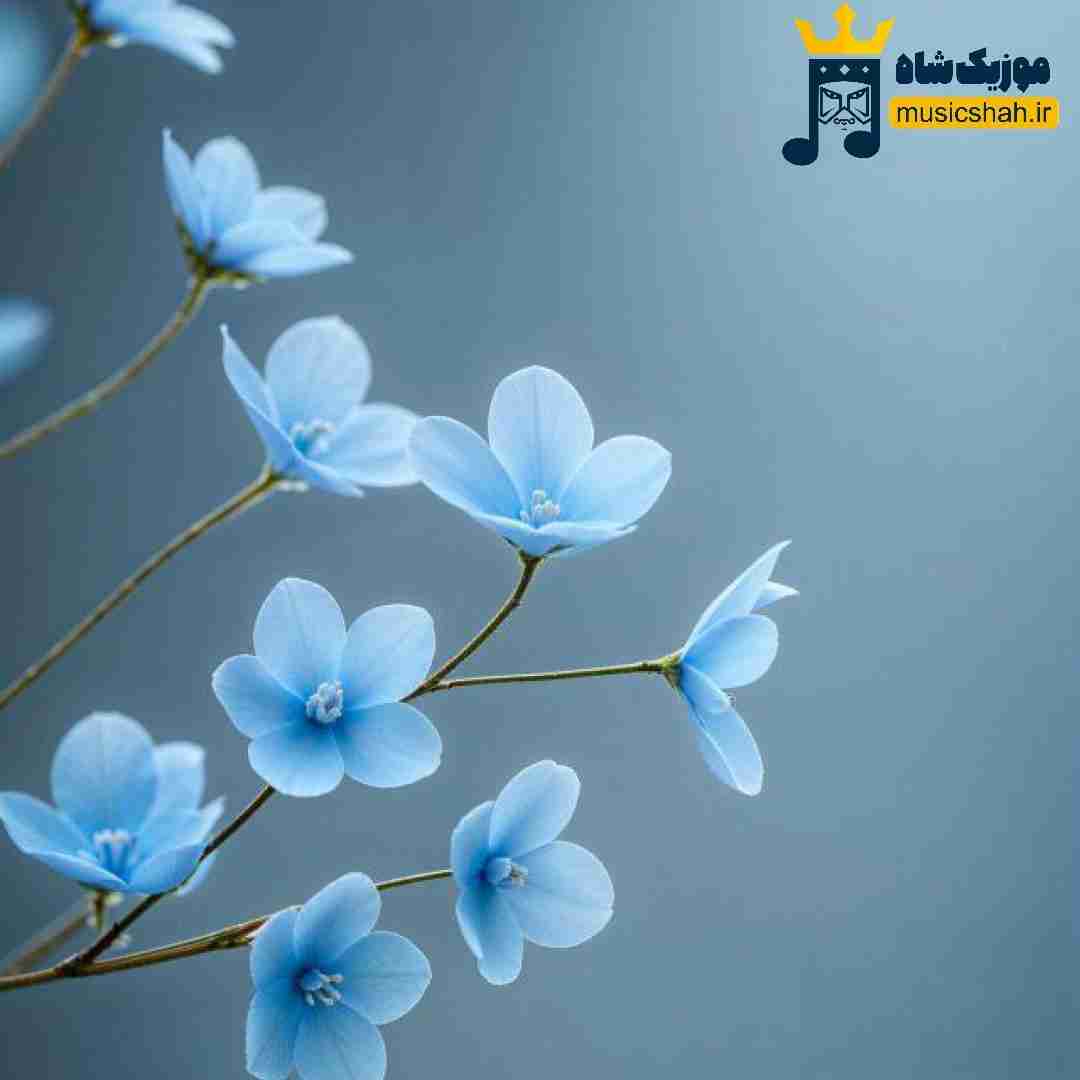 گرفتن با کتاب آسمونی خاکو ما دو بیت حافظ