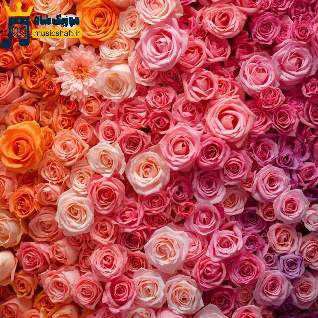  عوض نشدم من کلا همینم بشین رو میز جرعت