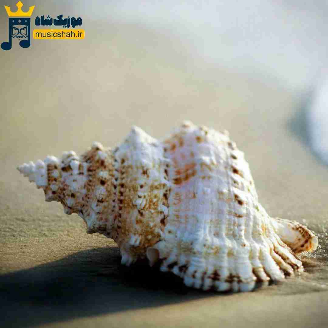  داریم میرسیم به اخرای داستان میگیریم حق مادرای دادخواه
