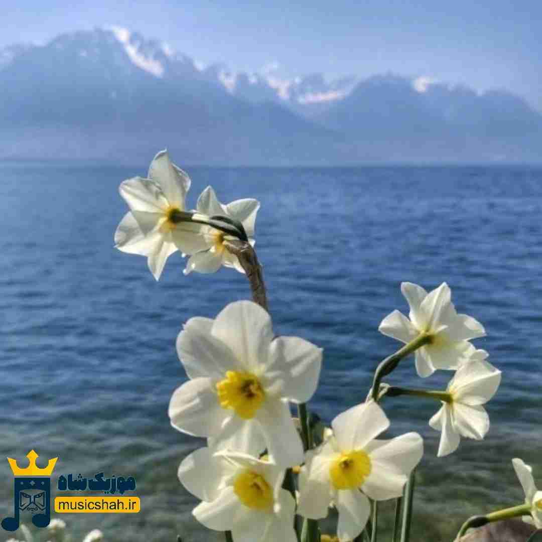  چشای تو مثل شب کویره وای دختر یزدی