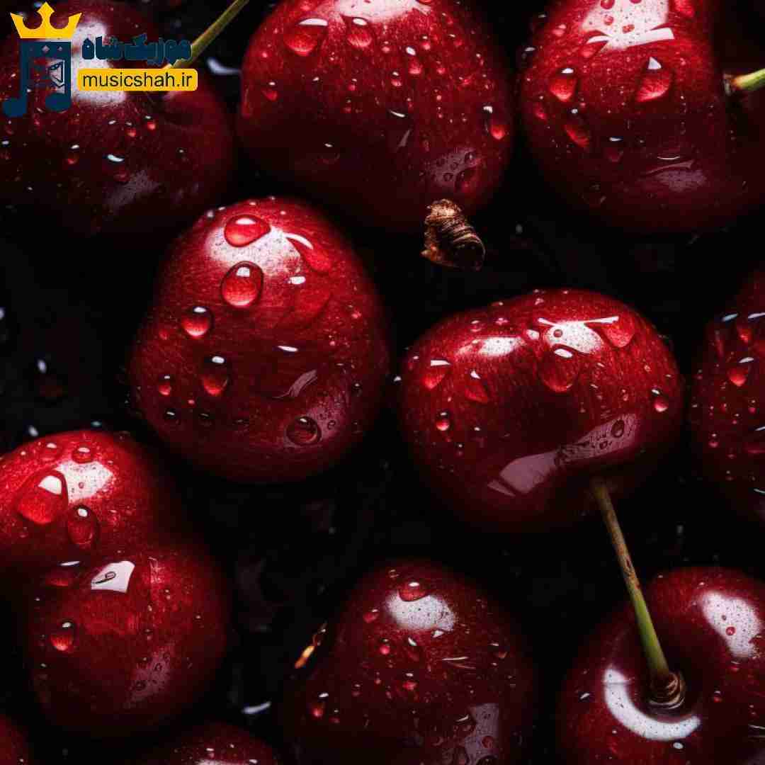 تا ابد این جاها میمونه خالی تا ابد به یادتون