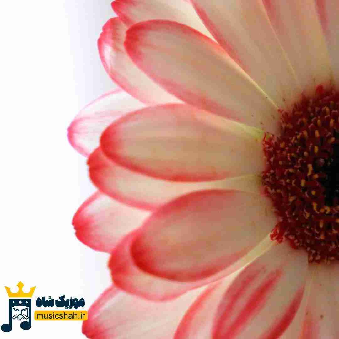  باهام بیا تا نخشکه اونکه کاشتیم هنو نمرده