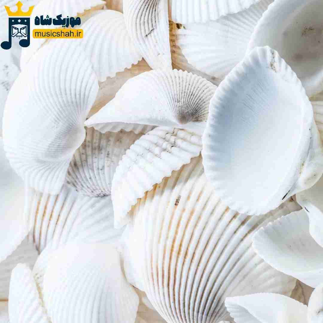 دانلود ریمیکس مرز ها بوم ها و نقش ها خون نسل ها