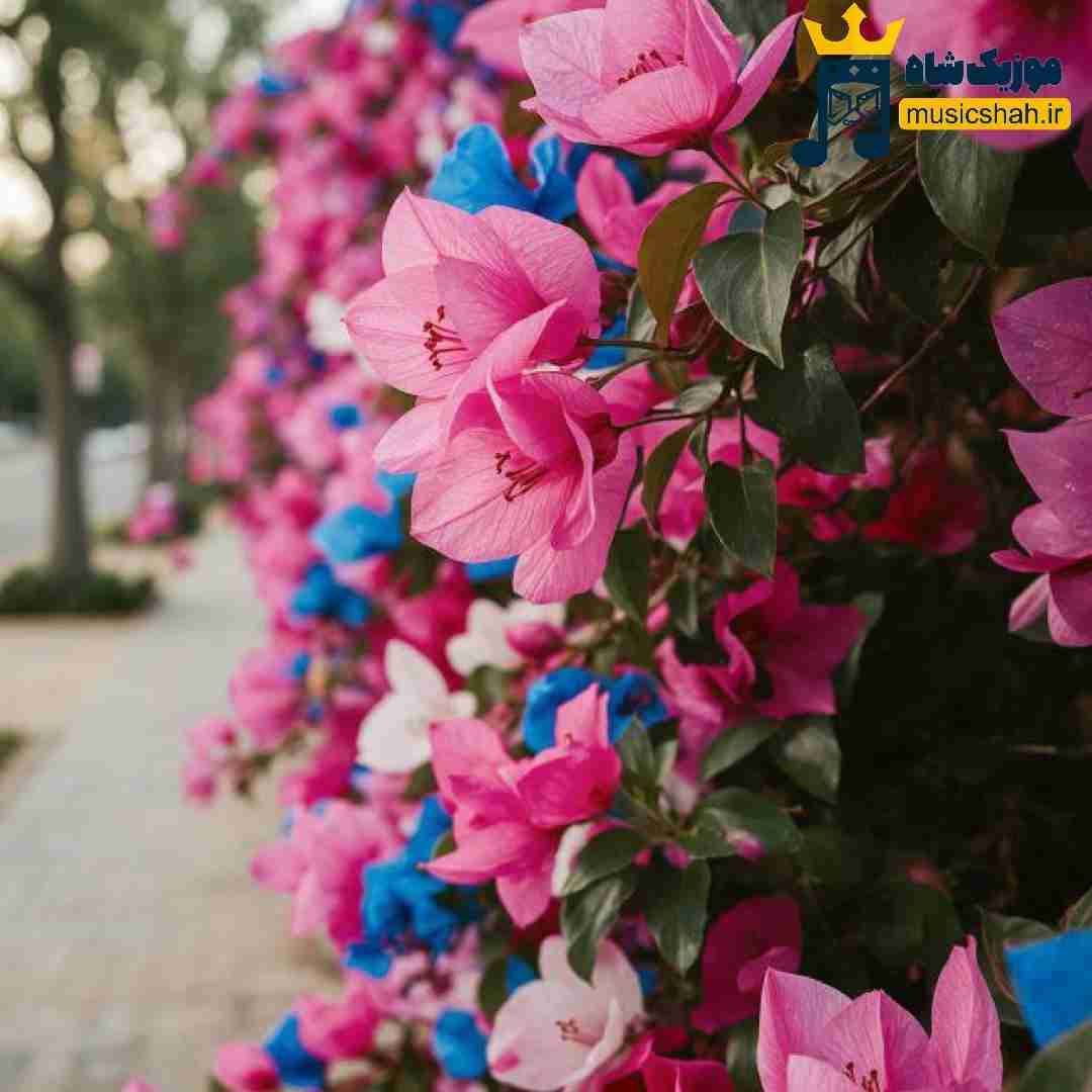 فاطمه عطایی دلبر زیبارو