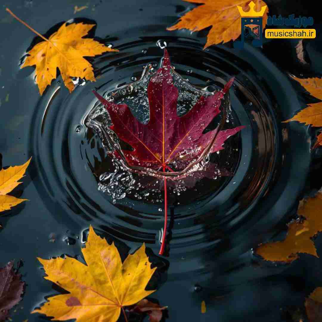  من الکی نرسیدم دختر خوب تو میدادی