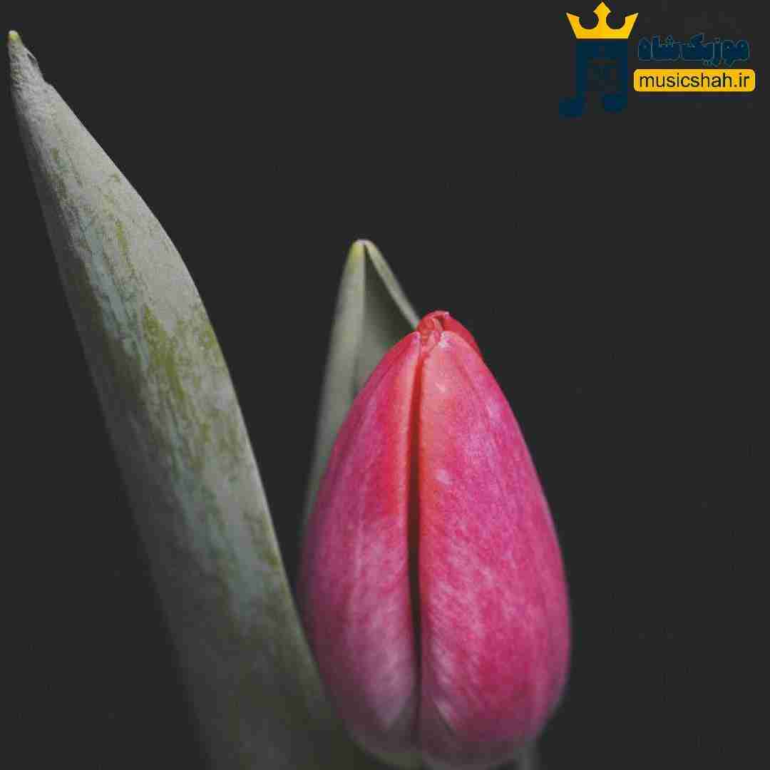 ما که جمعه هامون همیشه خب غمگین بوده