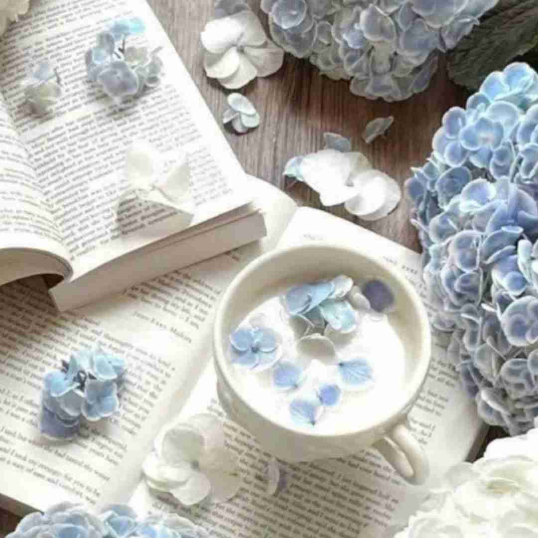 مینل روی فرشی از برف مهمان ما نشسته