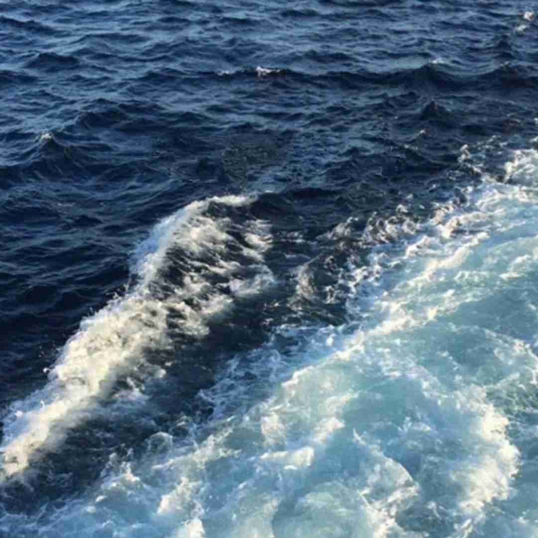 یه روز از همه ی اشکات دریا میسازم