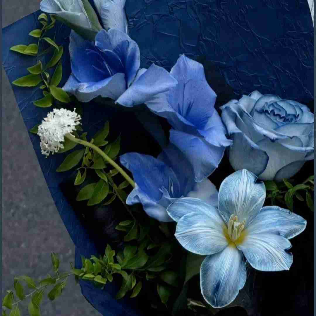  کرمانجی هره گوله با صدای زن