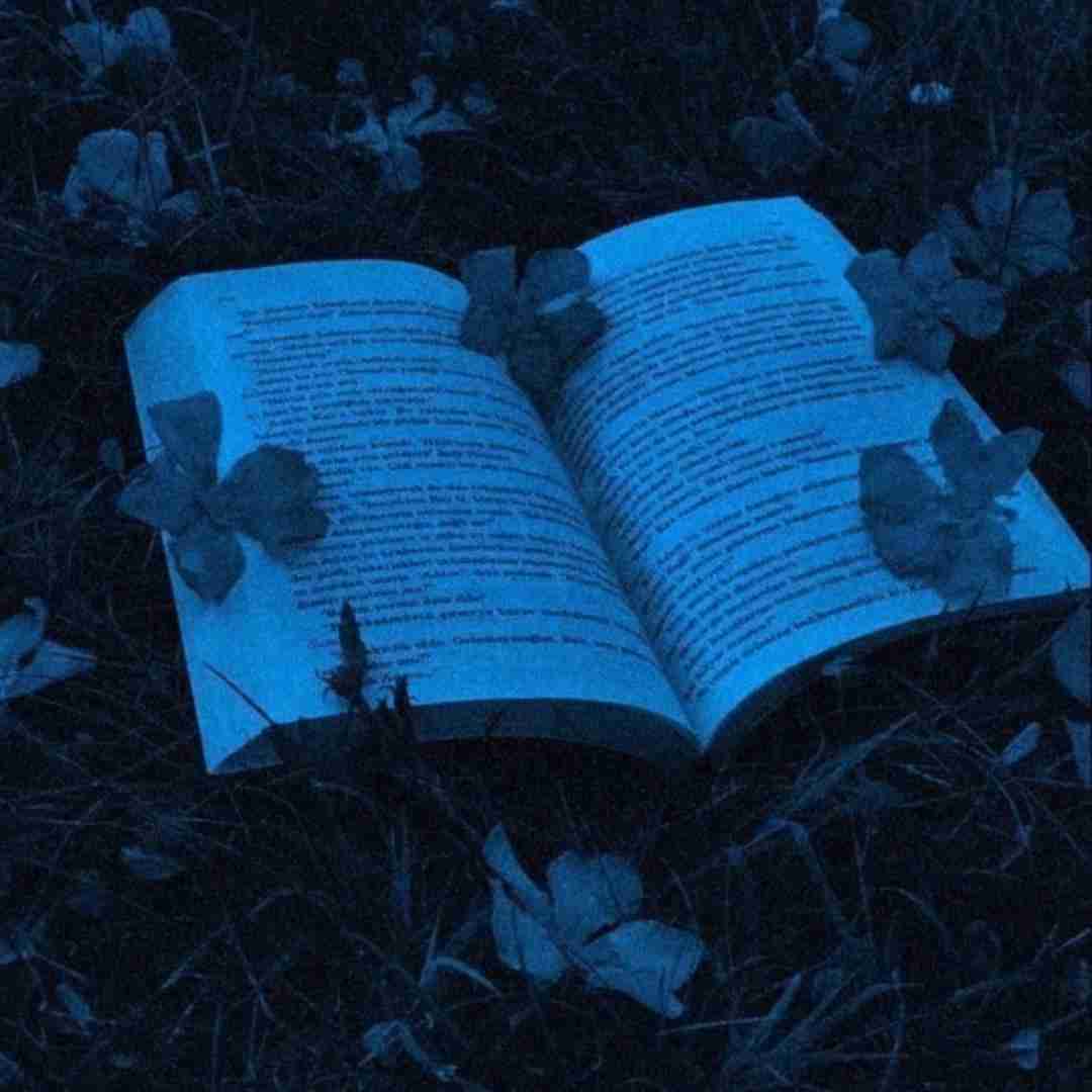 کرمانجی هر گوله اینستا
