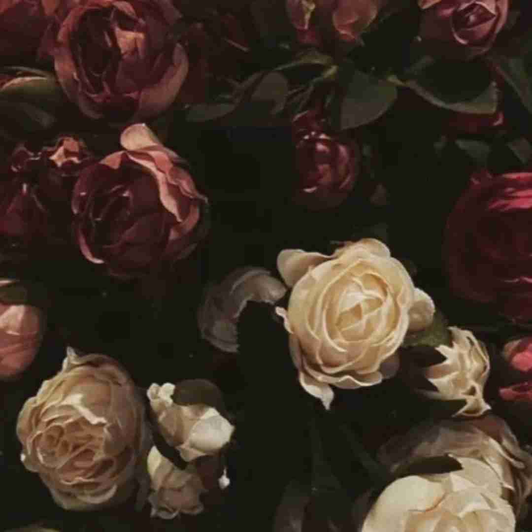 فاطمه عطایی جوانی