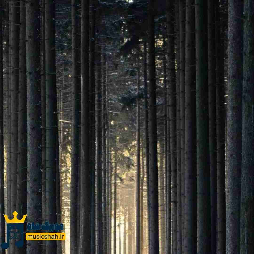 سر اینکه حرفاشو کم کنم گوش مجبورم تلفنو