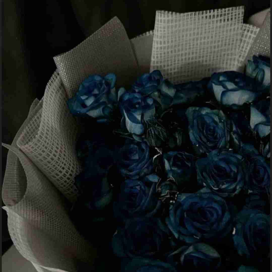 یاناریم یاناریم سوگیمیزه با صدای زن