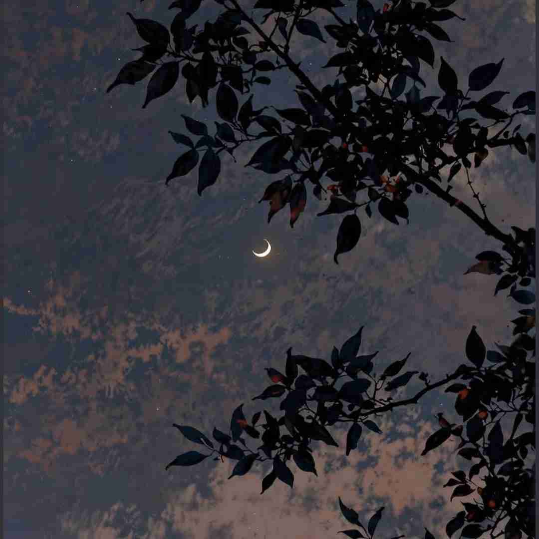 تو رستم تهمتنی هوش مصنوعی