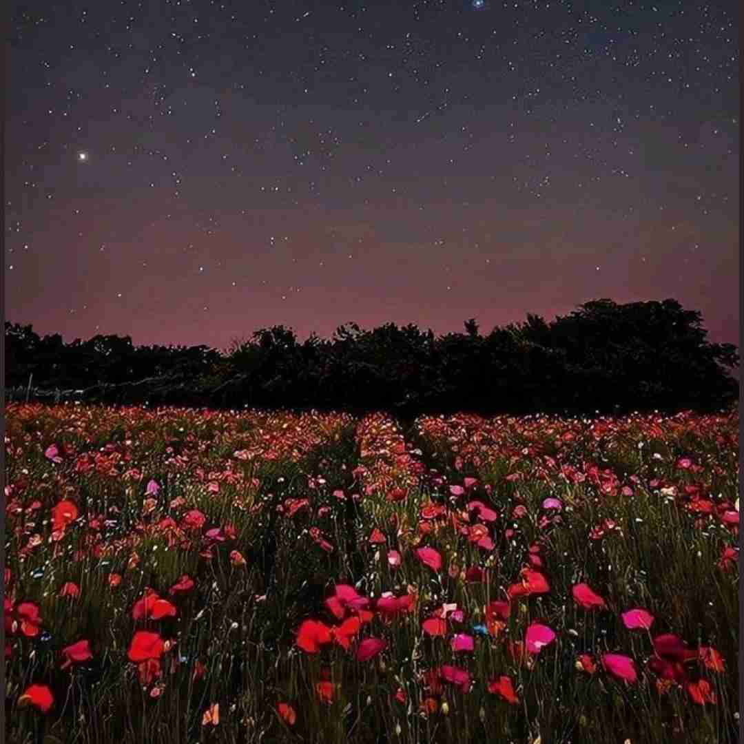  داغ یک عشق قدیمو