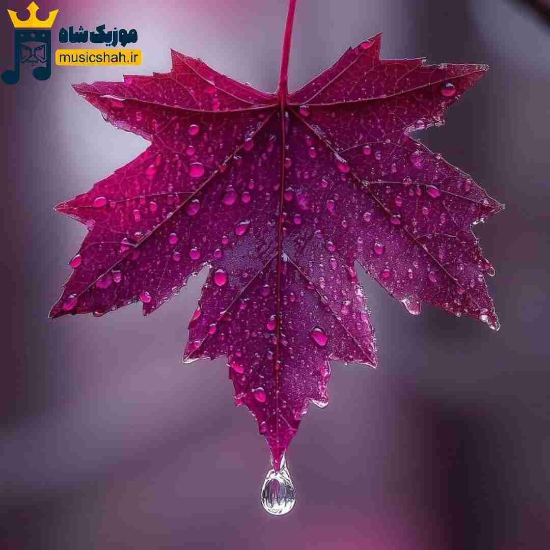 تو ذوقمه از سر صبح باز دیگه برام مهم نیست چیم