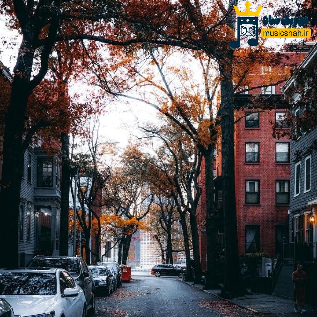 خودم بهمن میکشم قلبم تیر بگو چیکار کنم