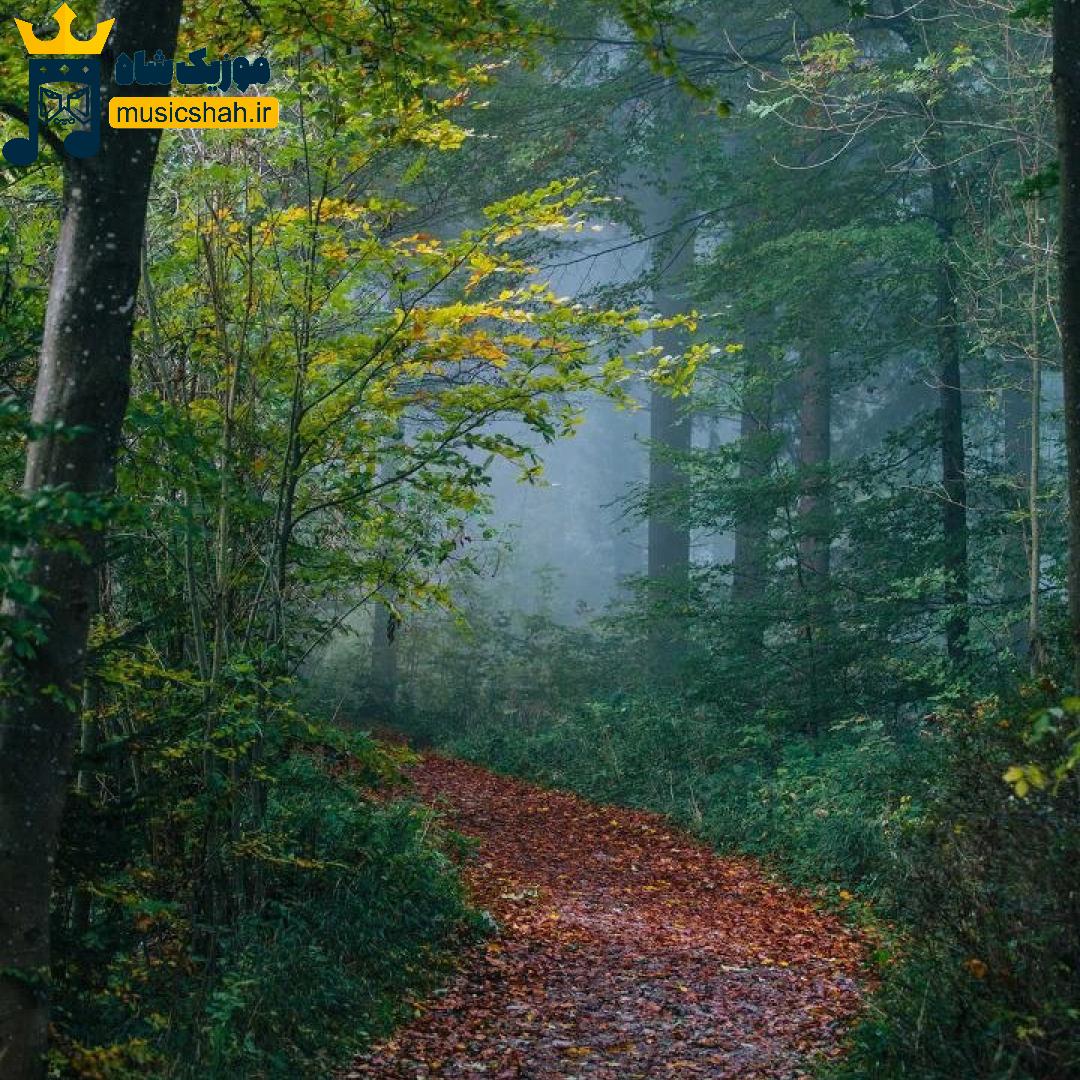 دشی فرقی نداره