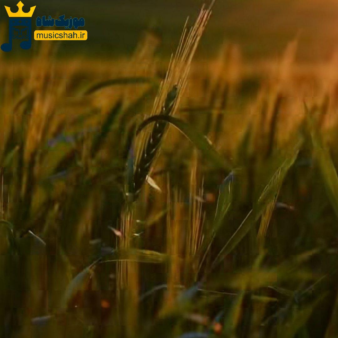 به داد همه رسیدم داد خودم چی (میکس اینستا)